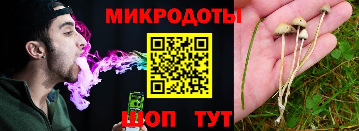 Псилоцибиновые грибы Cubensis  где купить   Галлюциногенные грибы GOLDEN TEACHER  Камышин  Вход с VPN 